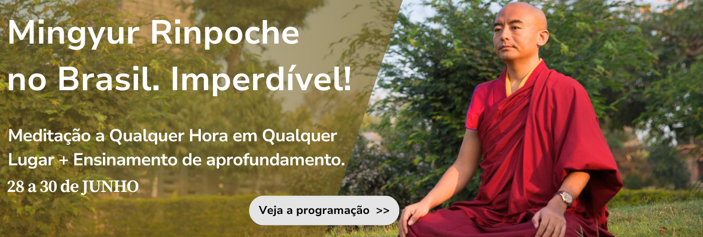 Mingyur-Rinpoche-no-Brasil-2025
